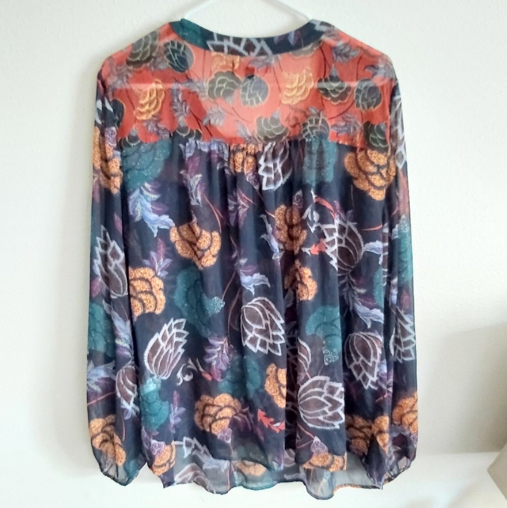 EUC, Sheer, long sleeve blouse -  Size 2x